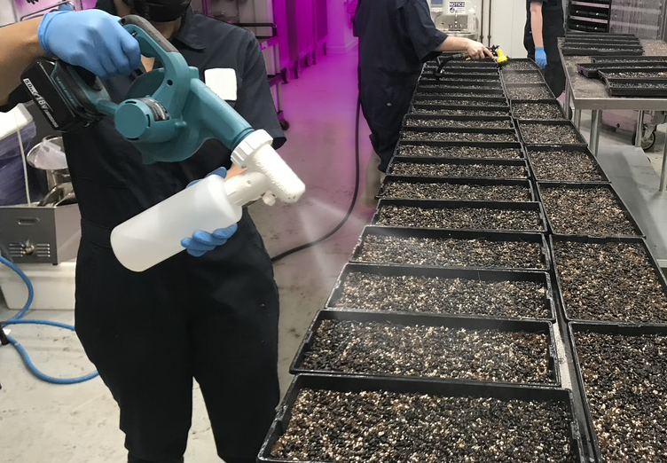 Omnifog Universal Fogger / Sprayer for Hand Held Blowers